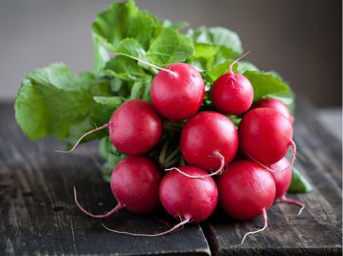 Củ cải đường