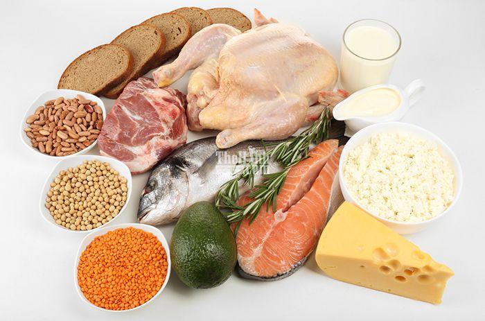 Cung cấp protein