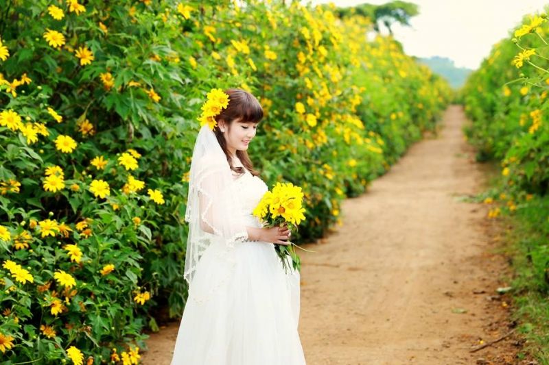 Hoa dã quỳ mang đến cảm giác dễ chịu cho bạn trong bộ ảnh cưới của mình