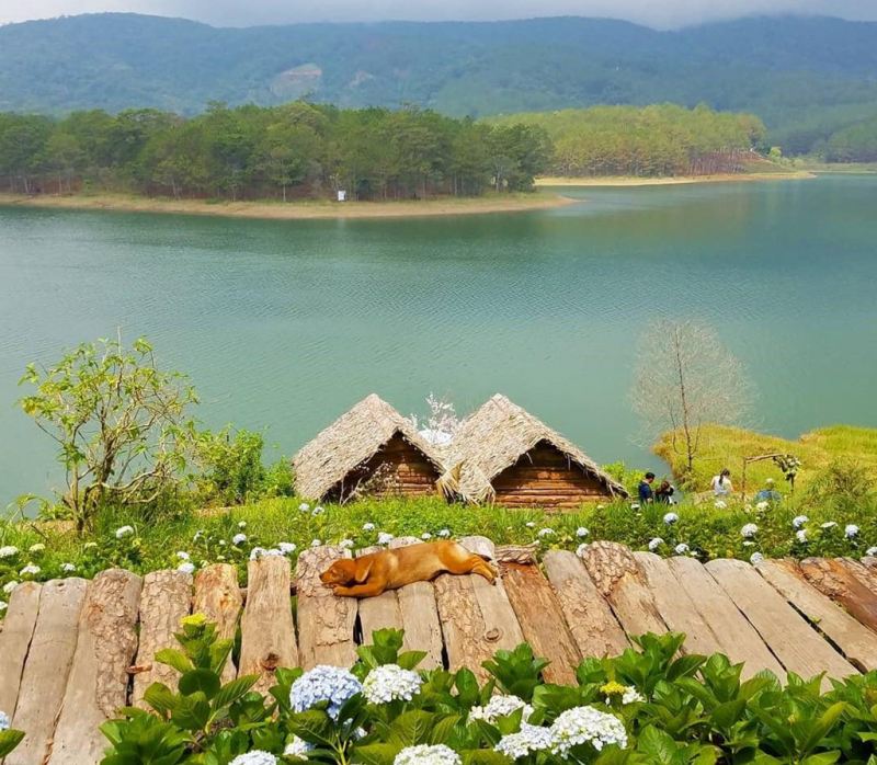 Du lịch Đà Lạt
