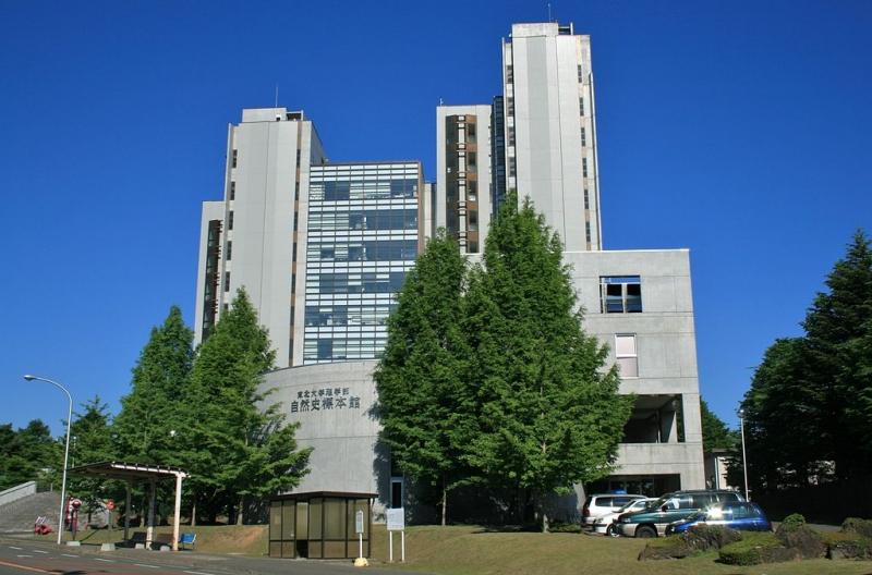 Đại học Tohoku