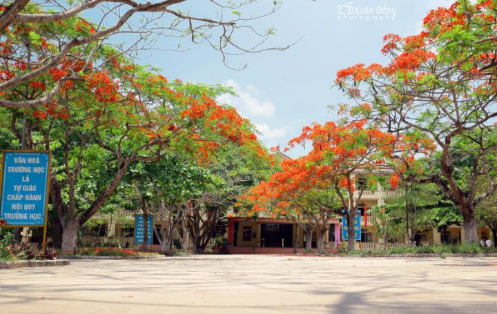 Ảnh minh họa ( Nguồn internet)