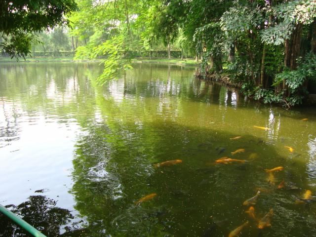 Dàn ý tham khảo số 3: Cảm nhận về cuộc sống và nhân cách của Nguyễn Bỉnh Khiêm qua bài thơ 