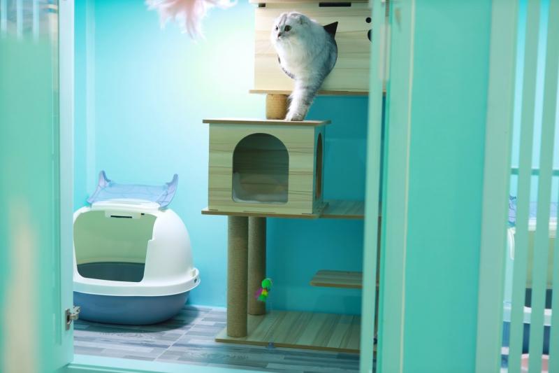 Dejay's Grooming