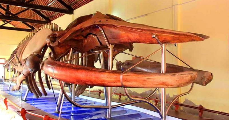 Dinh Vạn Thủy Tú