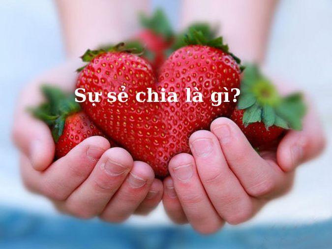 Đoạn văn viết về sự sẻ chia trong cuộc sống (Số 2)