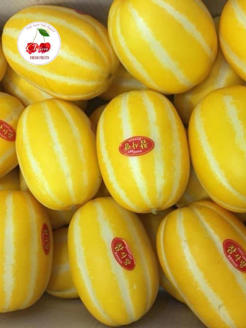 Dưa lê giống vỏ sọc vàng, phần cơm bên trong sẽ hơi bột