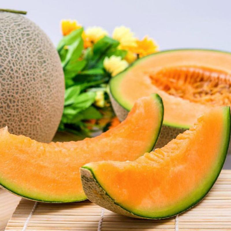 Dưa lưới ruột cam đỏ