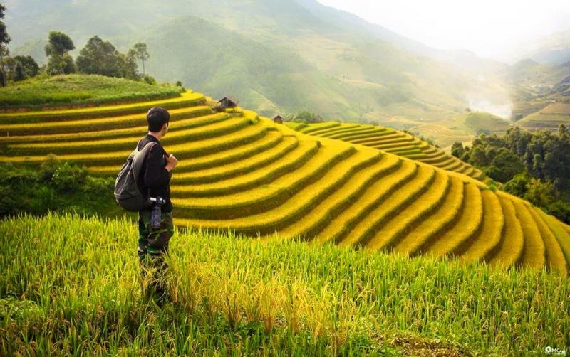 Học cách buông tay và tiếp tục cuộc sống tốt
