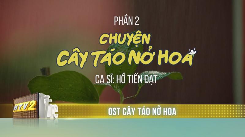 Cây táo nở hoa