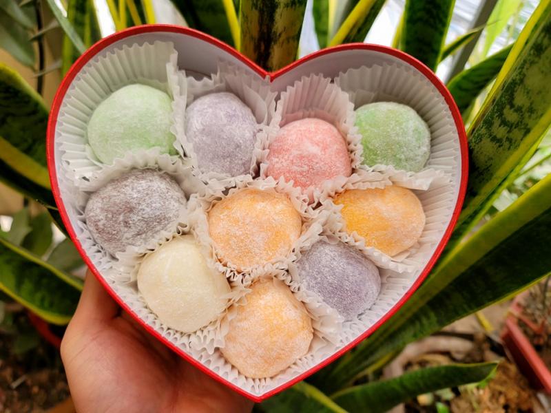 Fresh Mochi - Mochi kem tươi