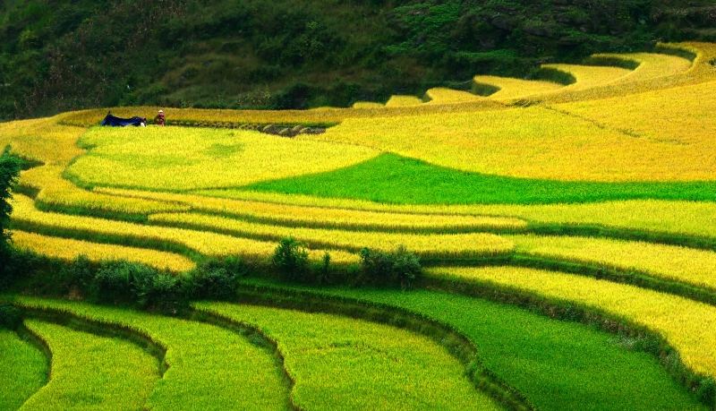 Hà Giang là tỉnh miền núi cao, vùng đất địa đầu Tổ quốc