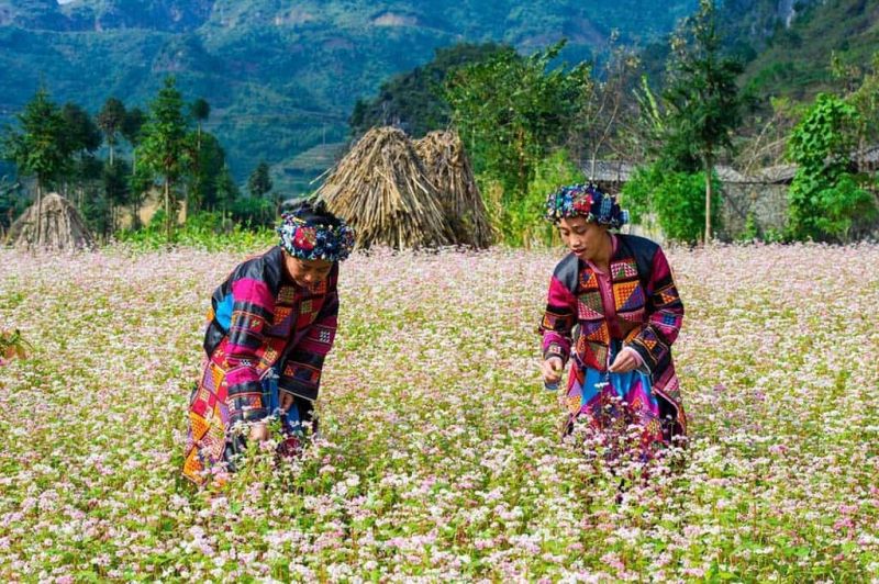 Hà Giang
