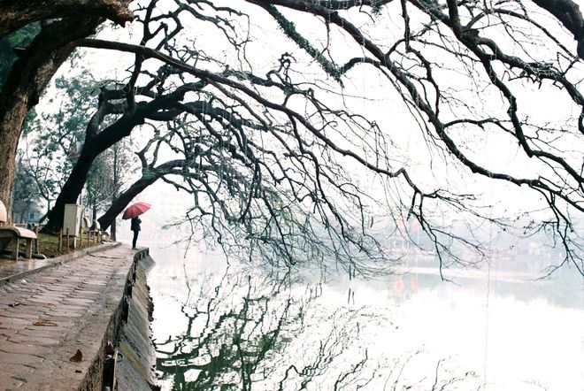 Hà Nội mùa đông của tôi