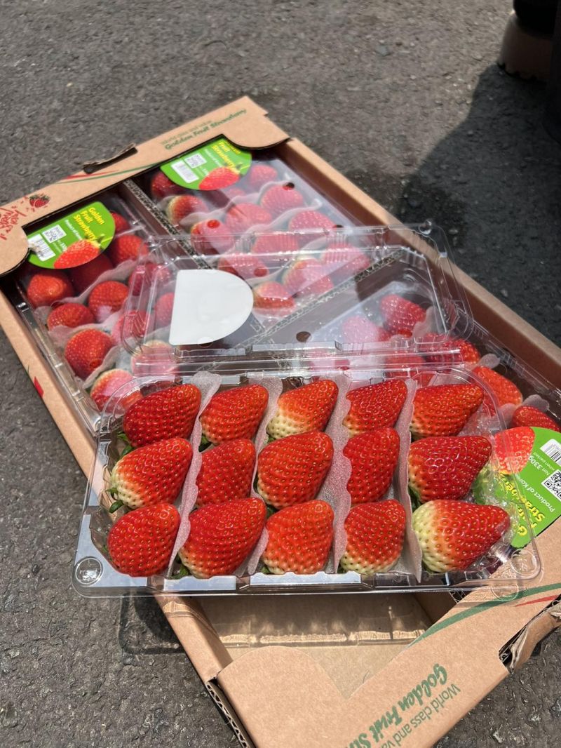 Han Fruit