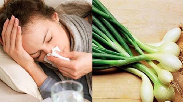 Hành hoa tốt cho sức khoẻ