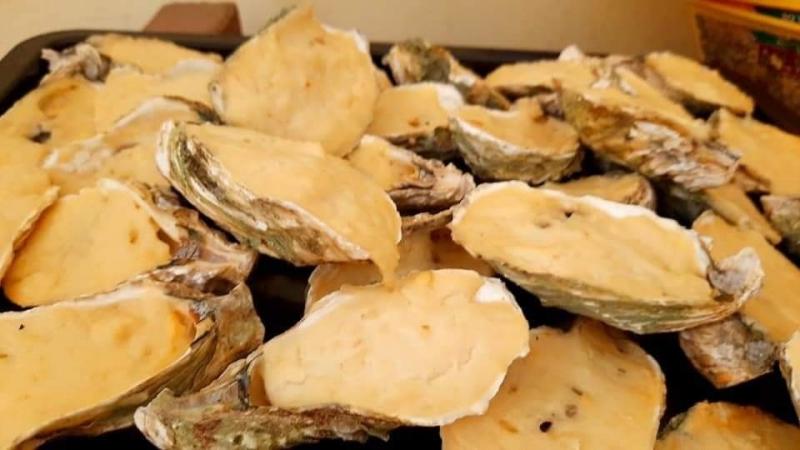 Hàu Sữa Hà Nội