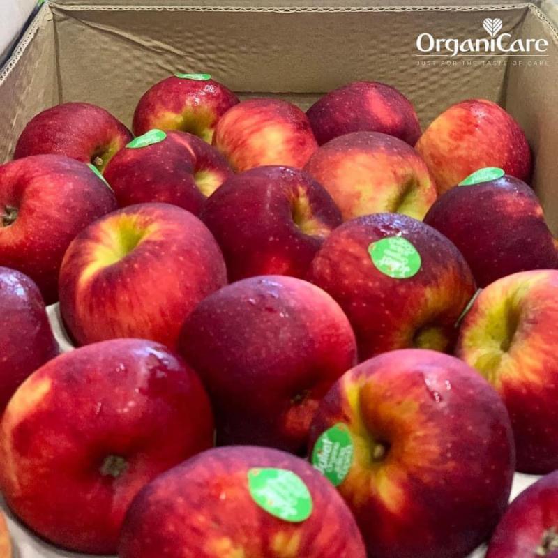 Hệ thống cửa hàng Buy Organic