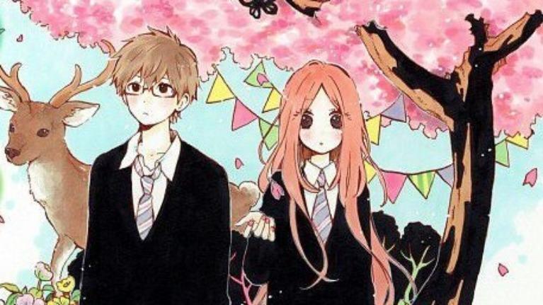 Hibi chouchou