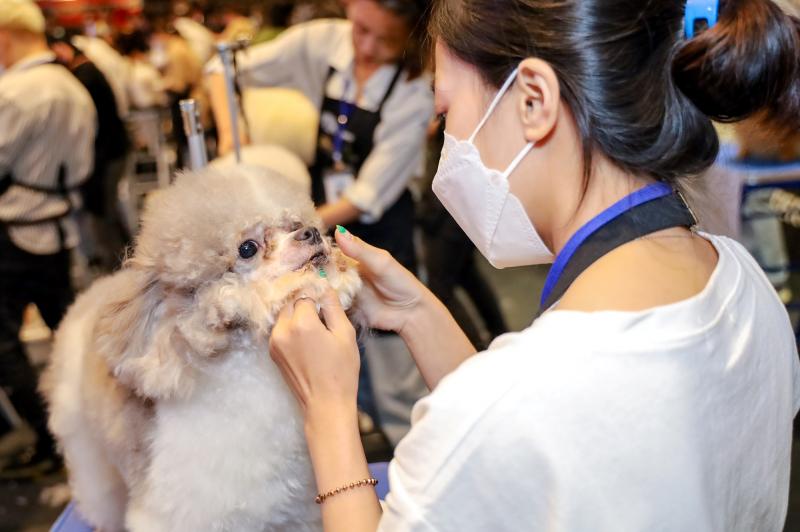 HIEU SPA - Mini Pet Mart & Pet Hotel