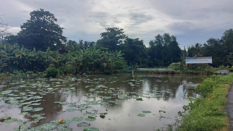 Hồ câu cá giải trí Ngọc Linh