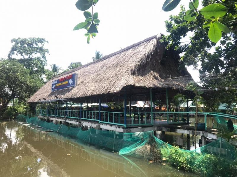 Hồ câu cá Ngọc Linh nằm ở vị trí khá đẹp với khung cảnh mát mẻ dễ chịu