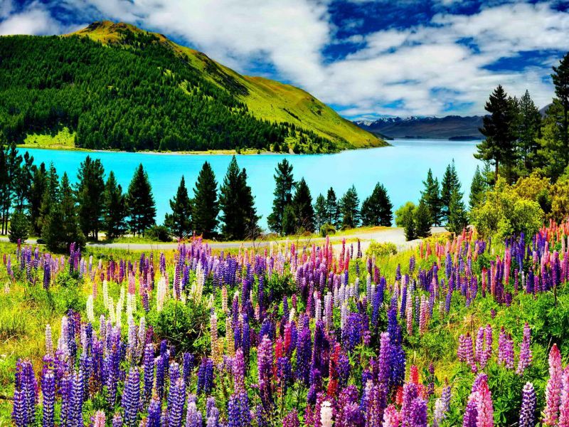 Hồ Tekapo