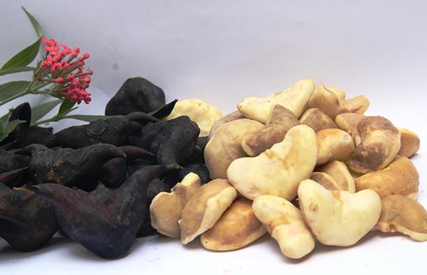 Tác dụng diệu kỳ của củ ấu