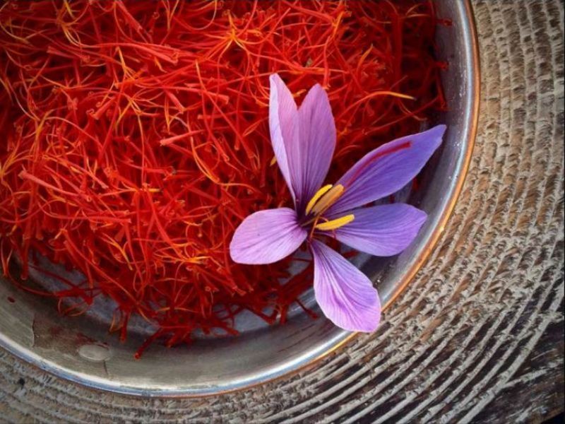 Hoa nghệ tây