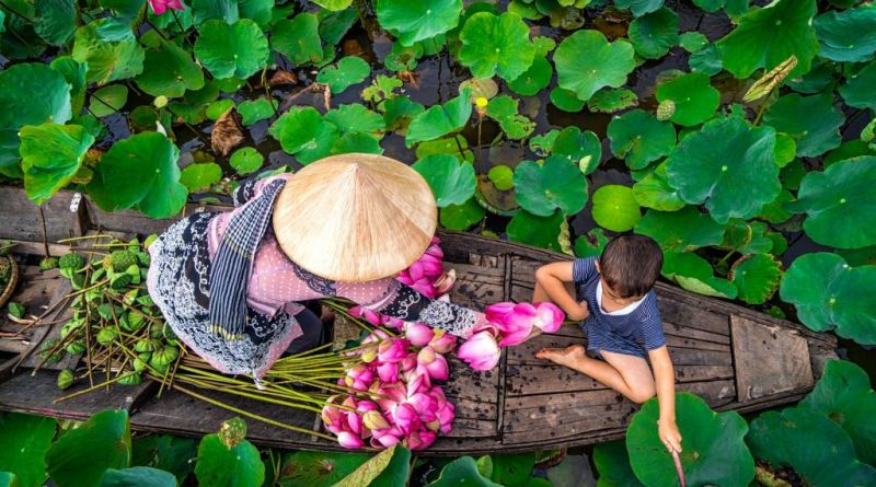 Tháp mười đẹp nhất bông sen