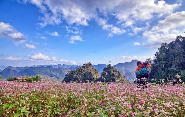 Viết cho Tây Bắc, về Tây Bắc
