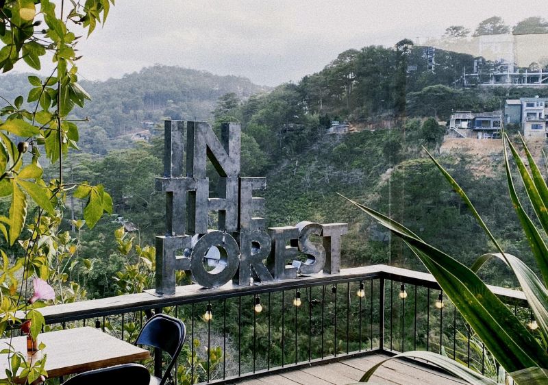 In The Forest Đà Lạt