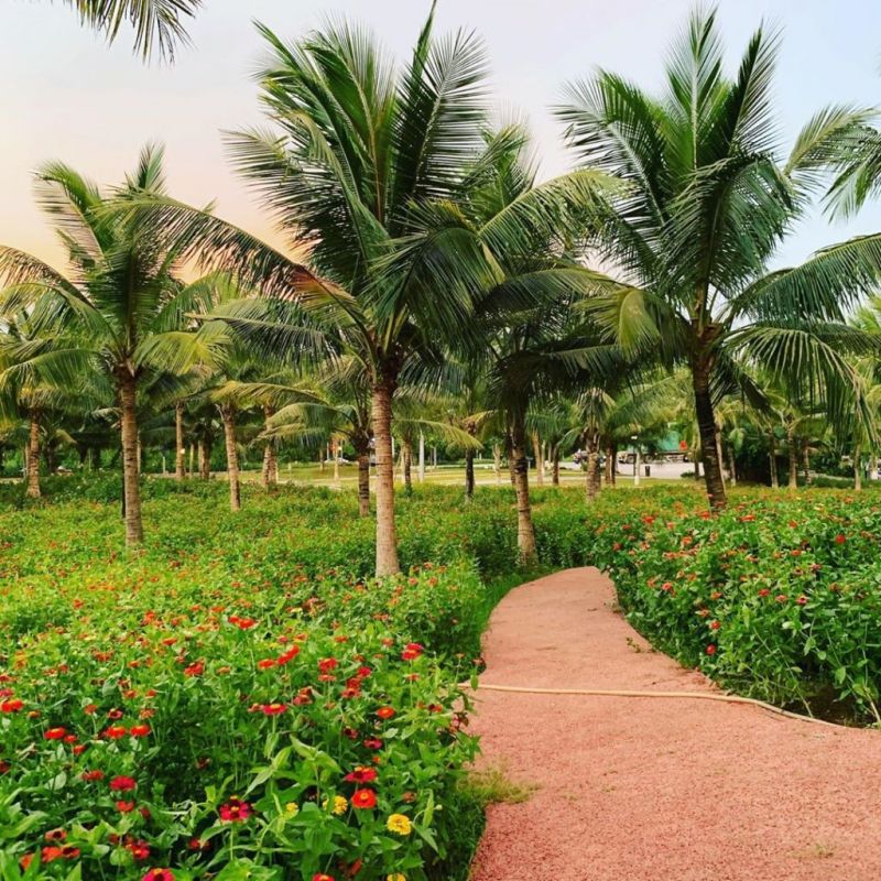 Khu đô thị sinh thái Ecopack