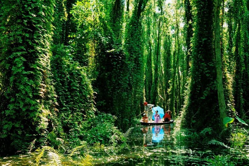 Khu sinh thái rừng tràm Xẻo Quýt