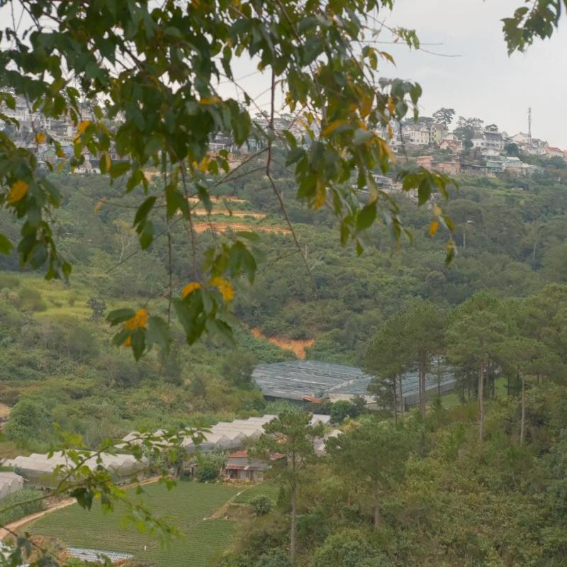 Khu Vườn Mùa Hè
