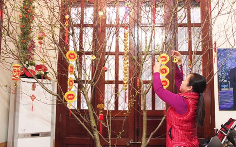 Bài văn thuyết minh về cây đào ngày Tết số 5