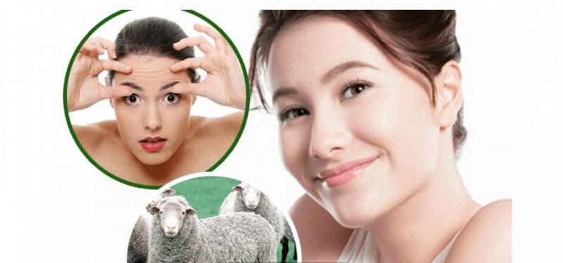 Làm đẹp bằng nhau thai cừu