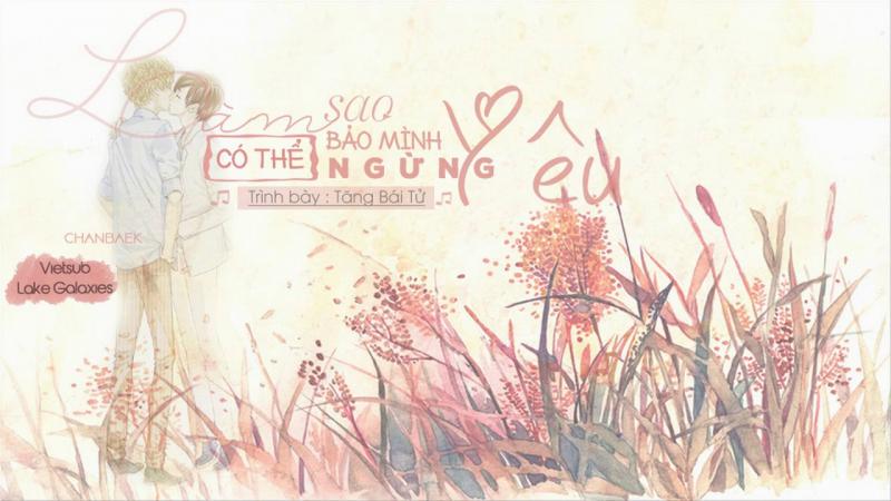 Làm sao có thể bảo mình ngừng yêu - Tăng Bái Từ
