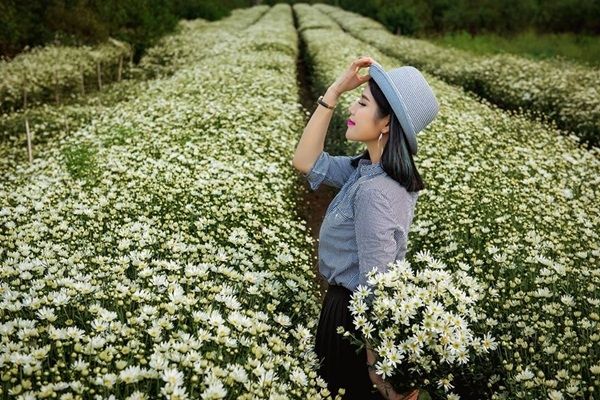 Thoải mái tạo kiểu bên cúc họa mi