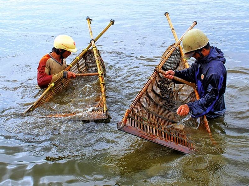 Làng nghề mây tre đan Ninh Sở