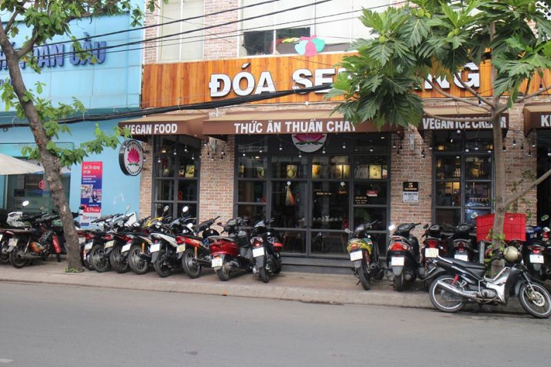 Đoá Sen Vàng Vegan