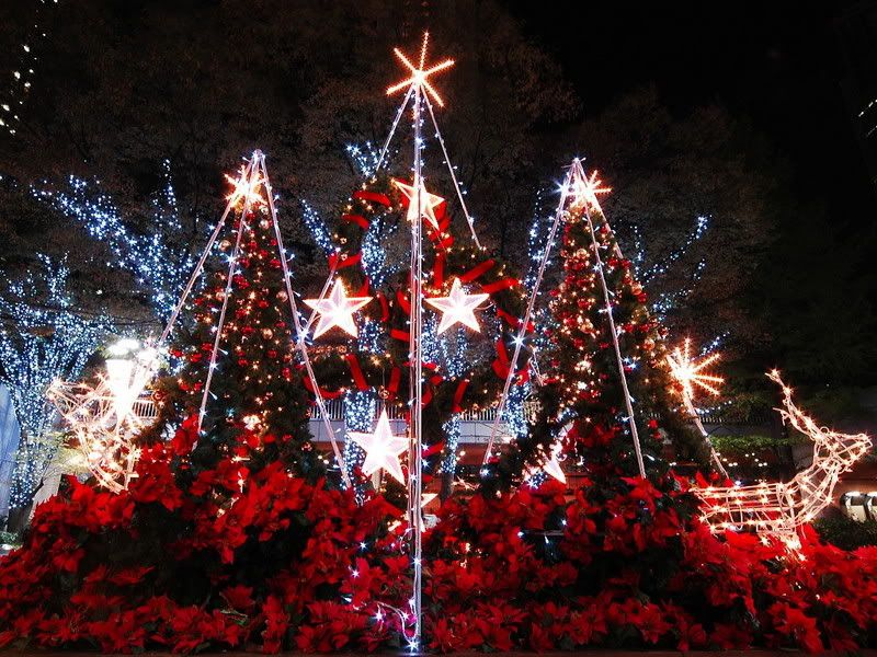 Lời dẫn chương trình Noel hay nhất số 5