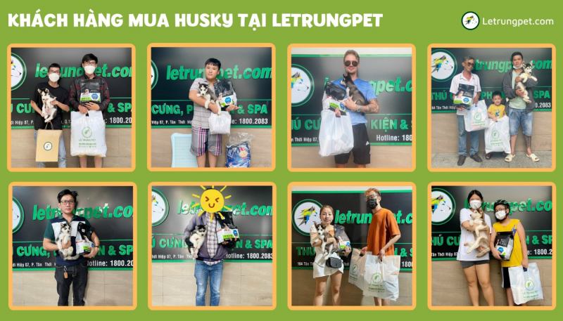 Letrungpet.com