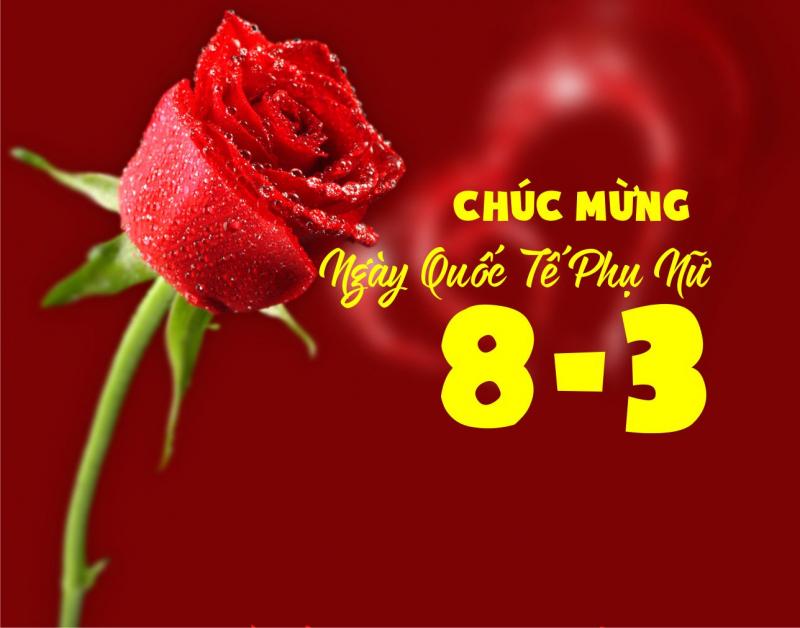 Lời chúc 8/3 tặng vợ