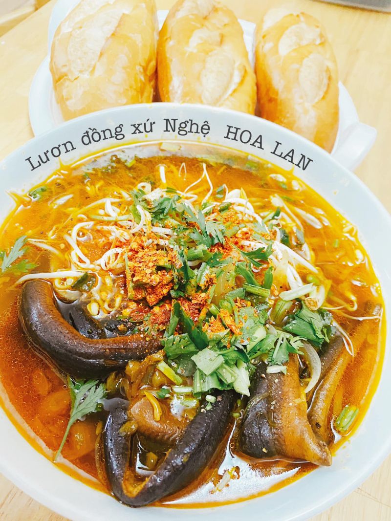 Lươn đồng xứ Nghệ Hoa Lan