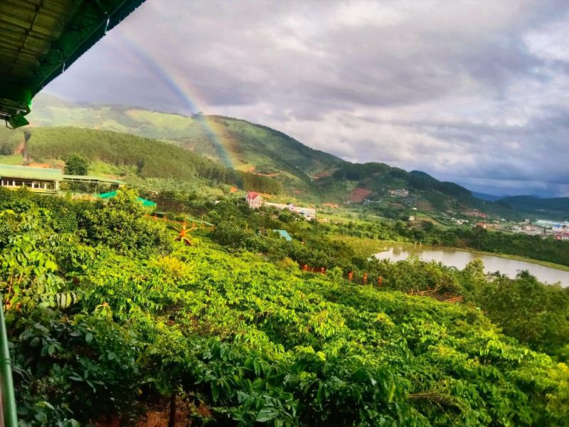 Mê Linh Coffee Garden