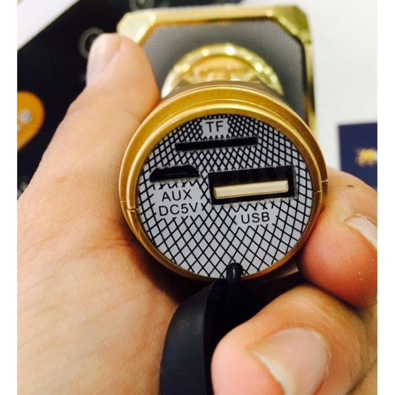 Micro karaoke bluetooth Paolu SD10