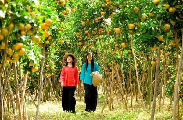 Miệt vườn Tiền Giang nổi tiếng miền Tây