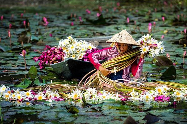 Miền Tây