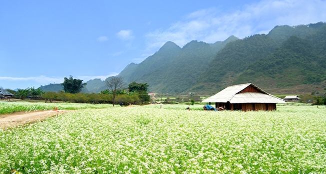 Mộc Châu - Sơn La